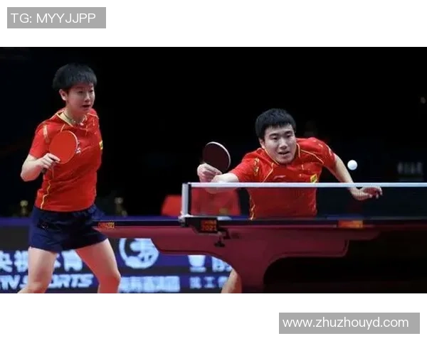 深圳篮球队的默契配合与战术创新探讨